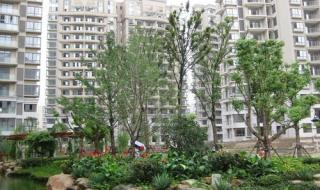 合肥二手房交易市场 合肥二手房交易市场