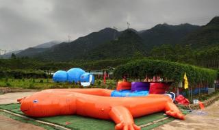 娃娃鱼养殖基地 娃娃鱼养殖基地